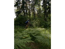 ��������  (72).JPG