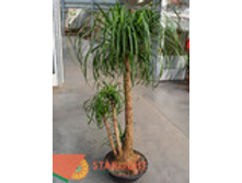 ������ (180) 13 500.00