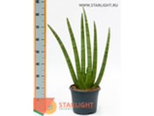 ���������� �������� (90) 3 995.00