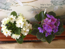 � ���� � imp's Spirit Warder