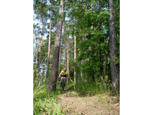 ��������  (64).JPG