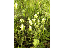 IMG 20160616 171237.jpg