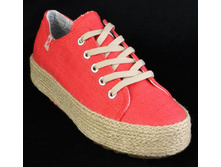 3 37 41 (1499 ���) ���� K1620306 �������.jpg