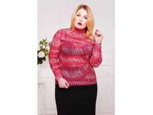 ����� CI ����