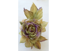 2016-04-28 11.16.46[1].jpg