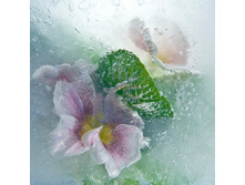 1335687814-573120-82291342 3166706 648937.jpg