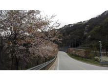 IMG 20160418 152547.jpg