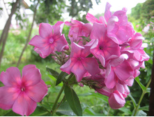 ���� ��������.JPG