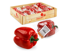 FF RP8 ����� �����, �������, d8��71,15 ���..jpeg