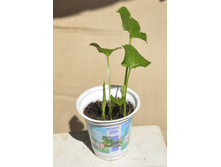 ��������� �����