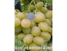 �������� ������������� 160���..jpg