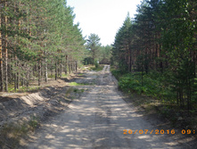 217.JPG