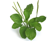 �������� �����������.jpg