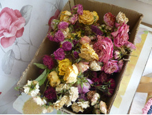 ������ ����� ������ ������� �����.