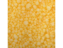 ������ ��������