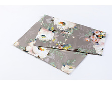 Hollan ��������� ����� ������.JPG