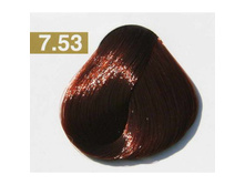 7.53 (7CO) ����-������ Nouvelle, BRONZES	-153 ���