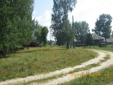 235.JPG