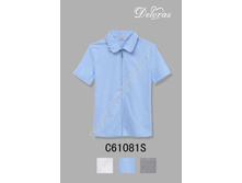 ���. C61081S.jpg