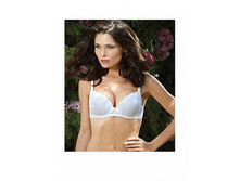 762.00  ����������� PRIM*AVERA PV-10077