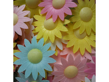 ��������� ����� 13*042*RA "����������"