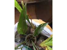 ����� - ������� ������ + ������������ ����� (����� ����������!)