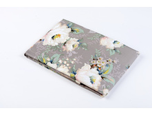 Hollan ������������ ����� ������.JPG