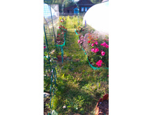 ������� (53).JPG