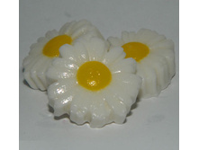 MA ����� �������