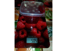 ������������� �����