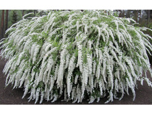 ������ ����� �������� 1-����� 90���. (������� 30��)