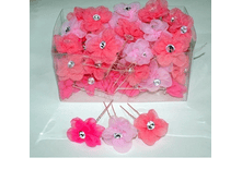 ������� ��� ����� 1.--- 25 ���