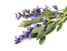 ���������� ������ - 180 �..jpg