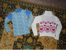 ������ ̣���� 110