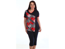 ������ 242.JPG