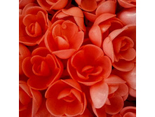 ����� ��� ����� 13*071*RD  "������� ����"