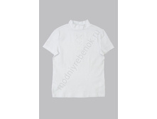 ���. Z60113S.jpg