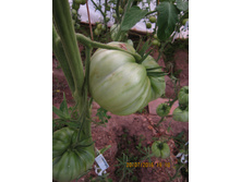 �������� ������