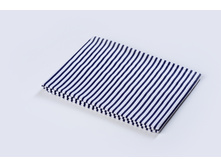 Negresco ��������.JPG