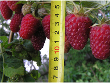 ������ ������� �������� 2-����� 180���..jpg