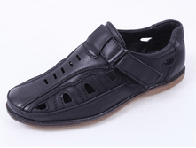 �������:	C603-31