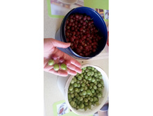 ��������� -100�/� (������� , ��. ������� ��������)