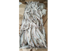 ����� ���-� �������