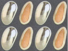 ���������� �����, ������ �������