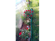 ������� (22).JPG