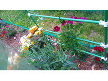 ������� (15).JPG