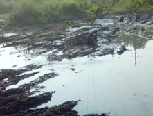 IMG 20160723 171223.jpg