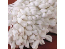 ������� ��� ������ "����� ��� �����"