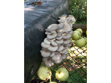 IMG 20160727 095424.jpg