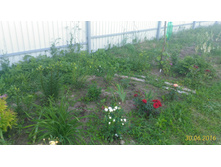 P 20160630 192055 1 p.jpg